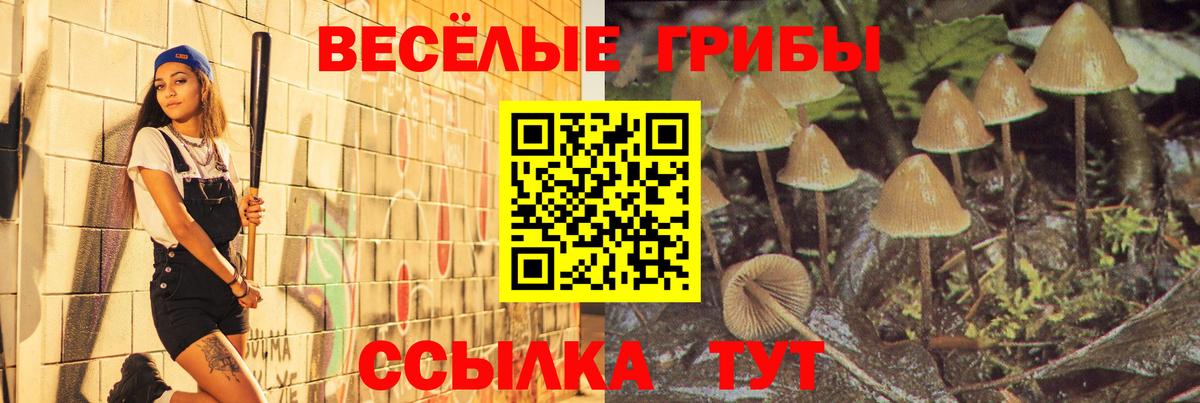 Псилоцибиновые грибы Cubensis  Вход с VPN  Красноармейск  Галлюциногенные грибы GOLDEN TEACHER 